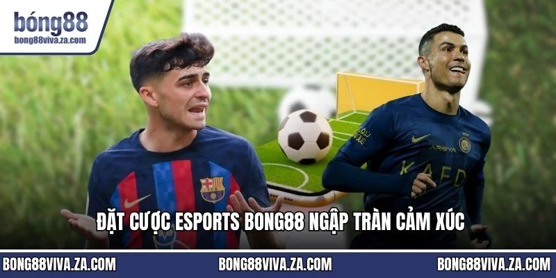 Đặt cược esports BONG88 ngập tràn cảm xúc