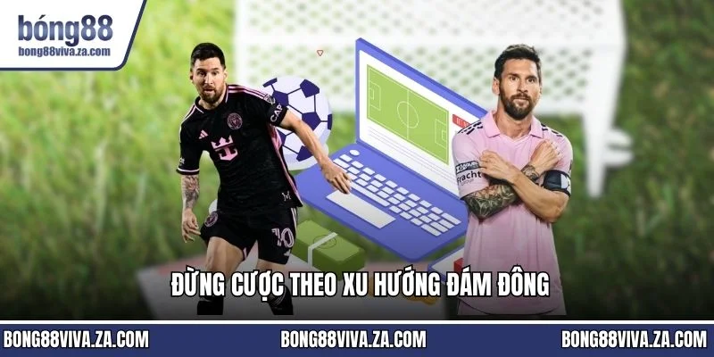 Đừng cược theo xu hướng đám đông