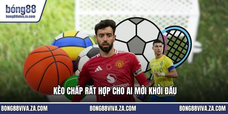 Kèo chấp rất hợp cho ai mới khởi đầu