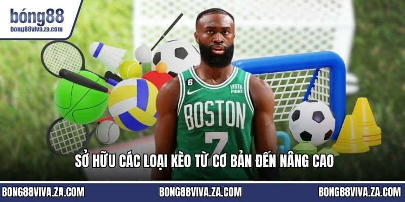 Sở hữu các loại kèo từ cơ bản đến nâng cao